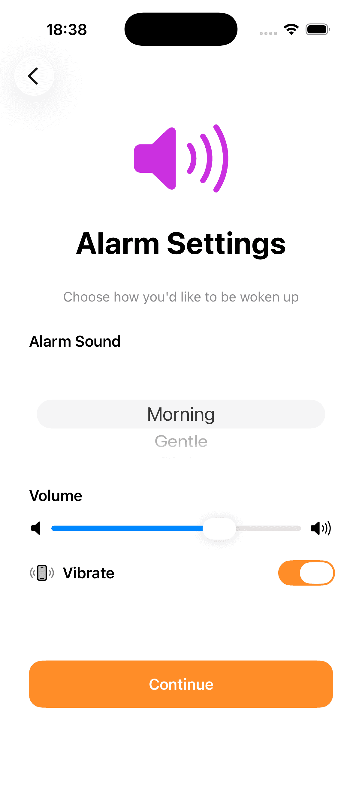 Solsynq app showing alarm settings customization screen